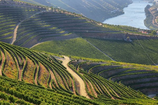 Comment organiser une visite des vignobles du Douro au Portugal en bateau?